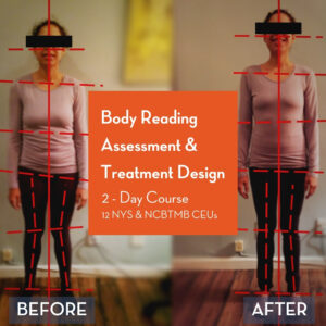 Body Reading, Assessment & Treatment Design