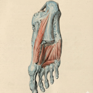 Relieving Plantar Fasciitis