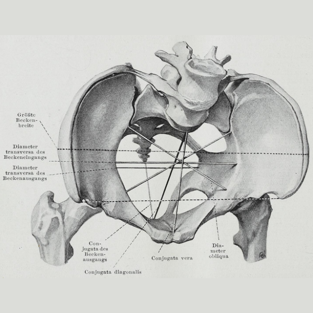 Working on an Anterior Pelvic Tilt
