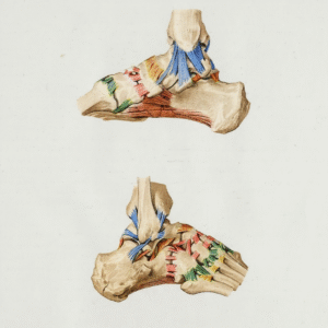 Advanced Massage Therapy: Relieving Arthritis